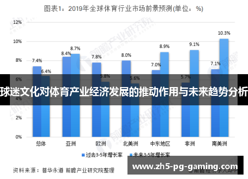 球迷文化对体育产业经济发展的推动作用与未来趋势分析