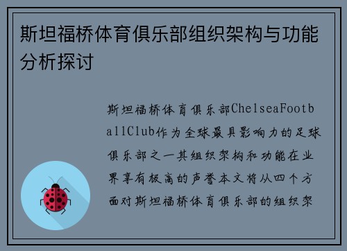 斯坦福桥体育俱乐部组织架构与功能分析探讨